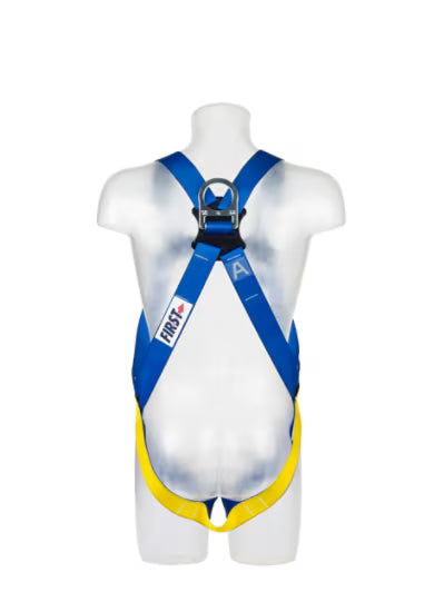 3M™ Protecta® E50 General Purpose Fall Protection Harness, Blue, Universal, AB17711UNI
